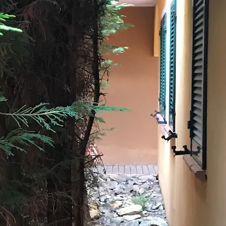 Apartment Casa 